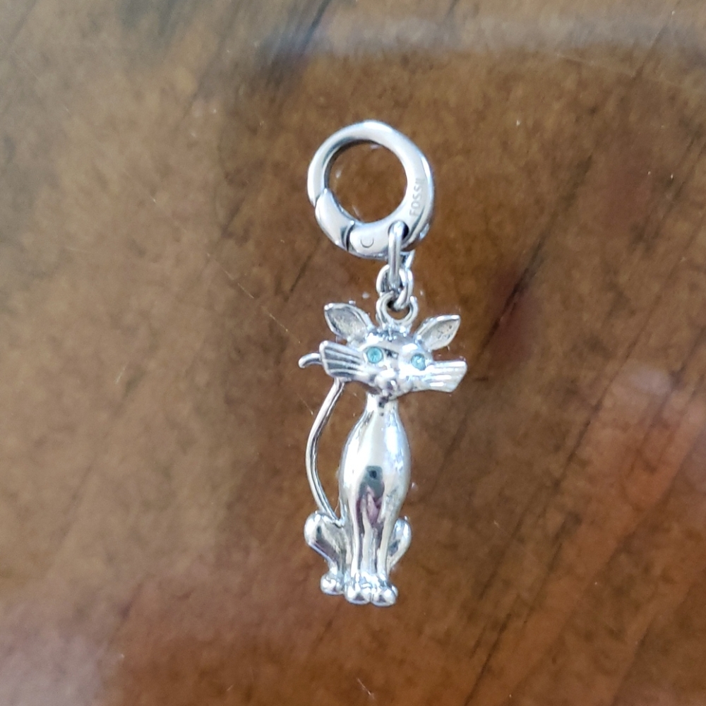 Fossil cat charm